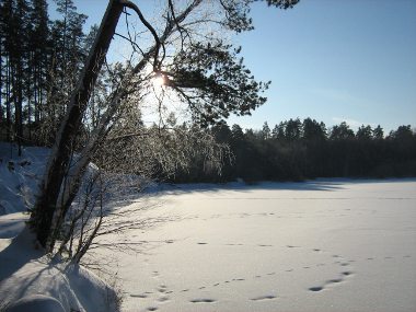 Зимний пейзаж