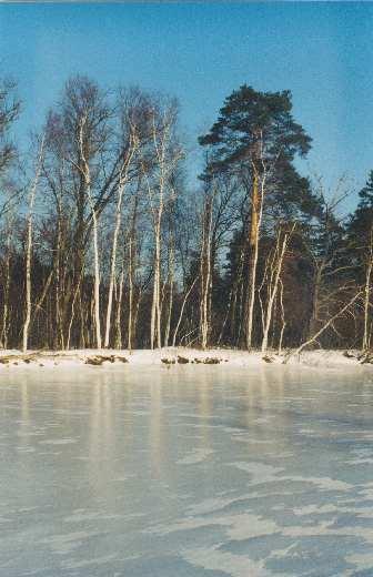 река покрытая льдом